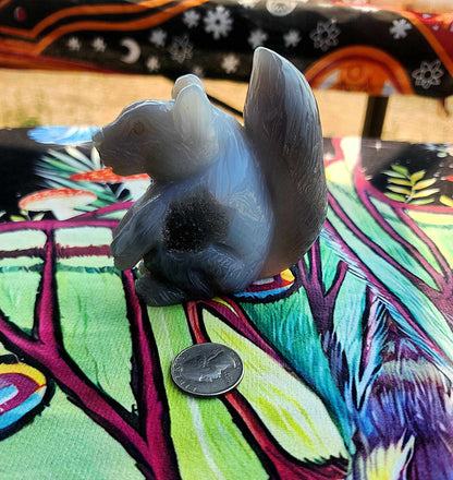 Agate Squirrel with Druzy