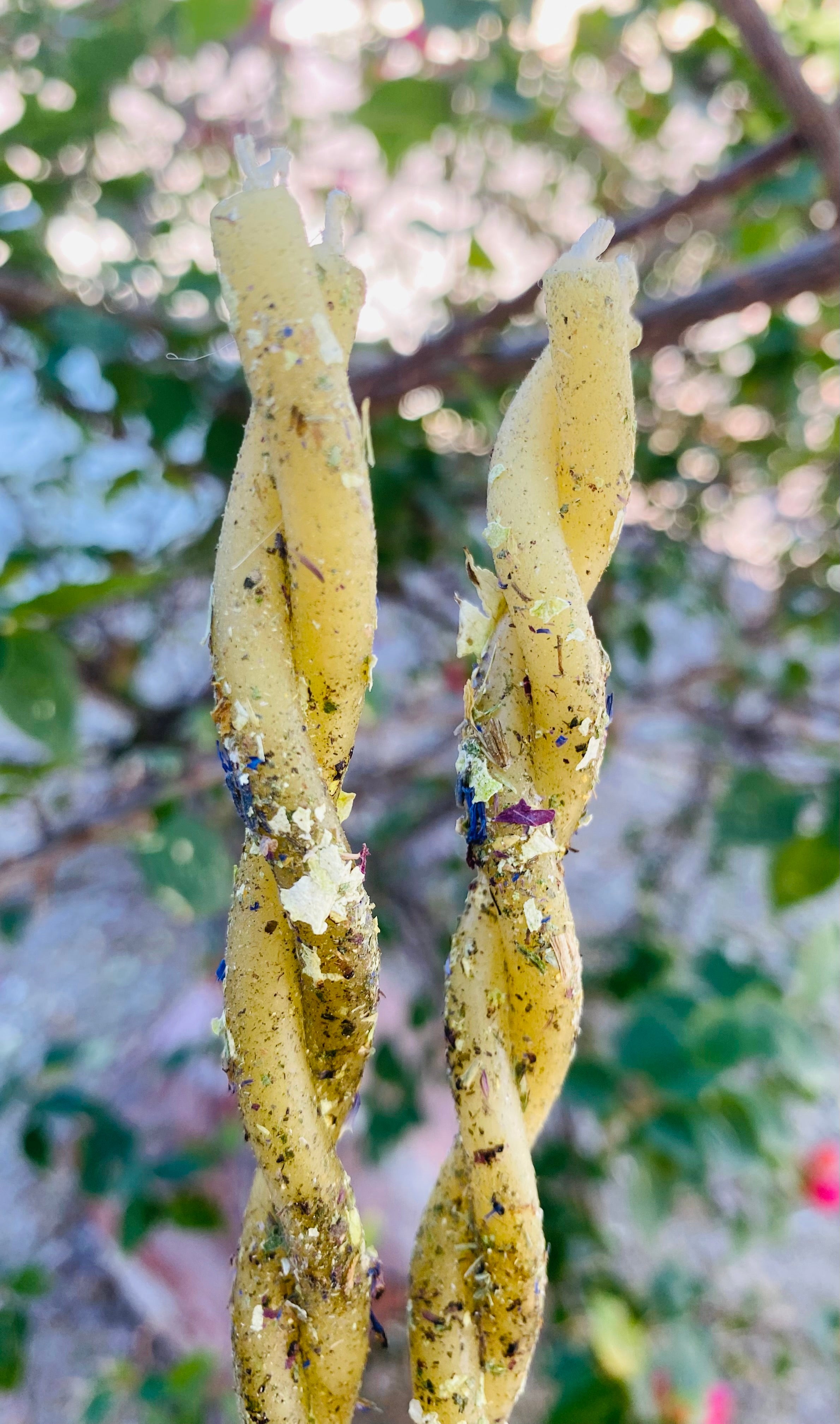 Eostre Ostara spring twisted beeswax ritual candle