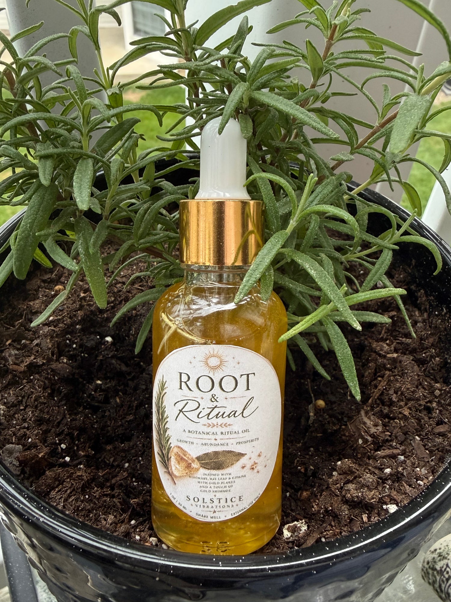 Root &amp; Ritual Spell Oil