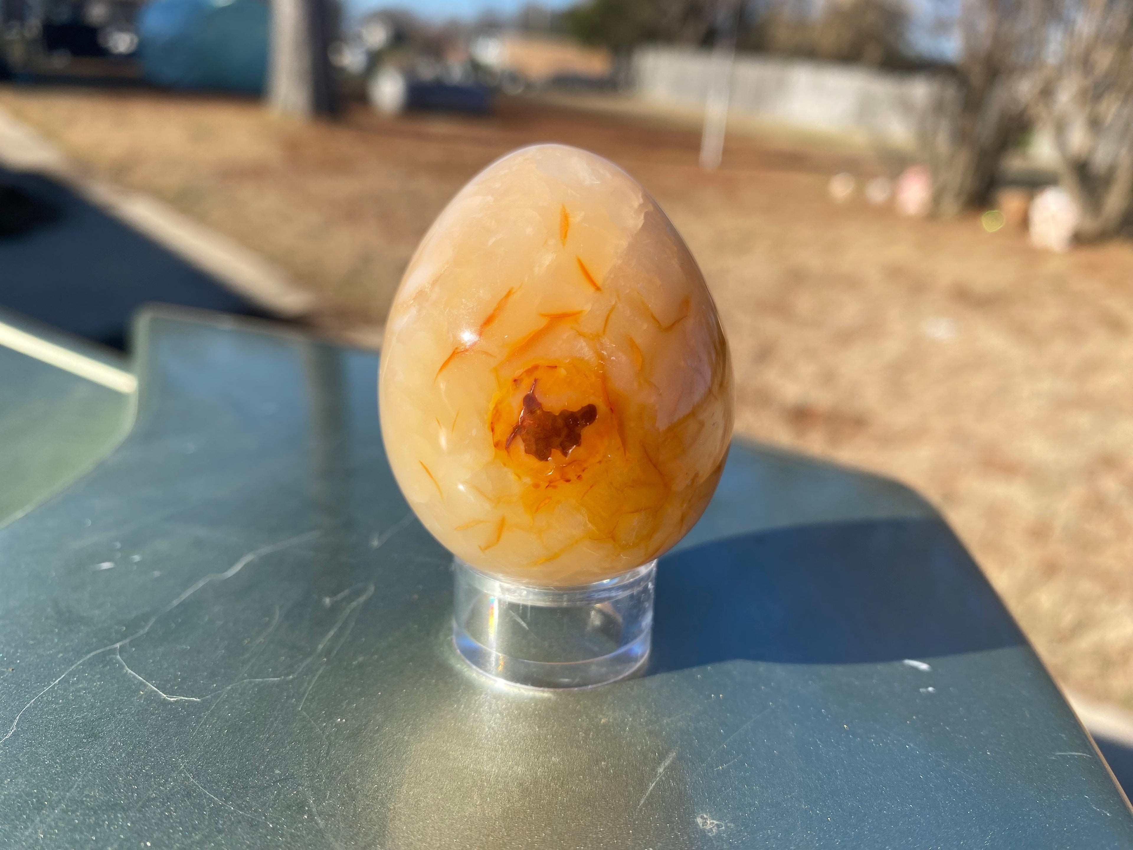 Carnelian Egg