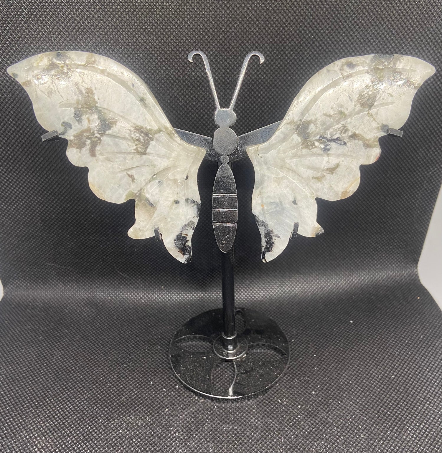 Butterfly Wings