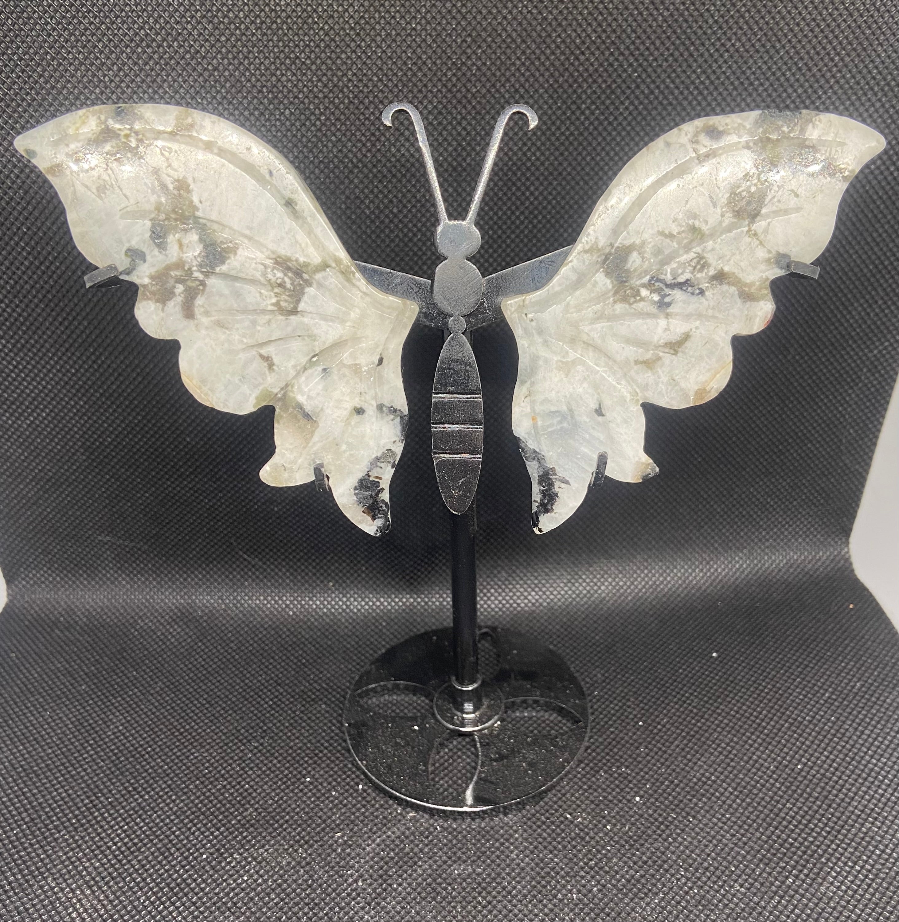 Butterfly Wings