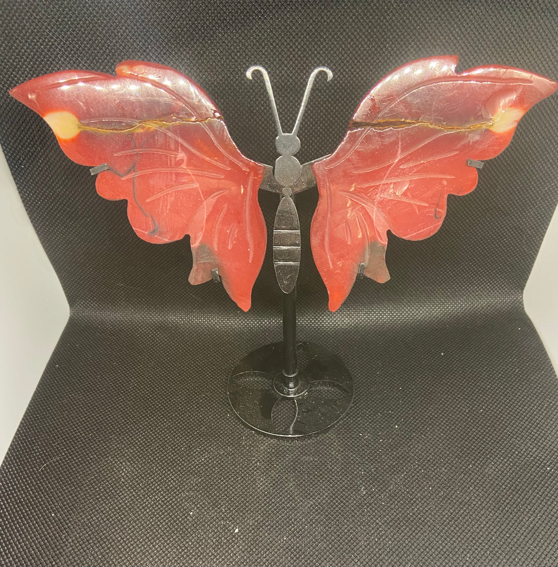 Butterfly Wings