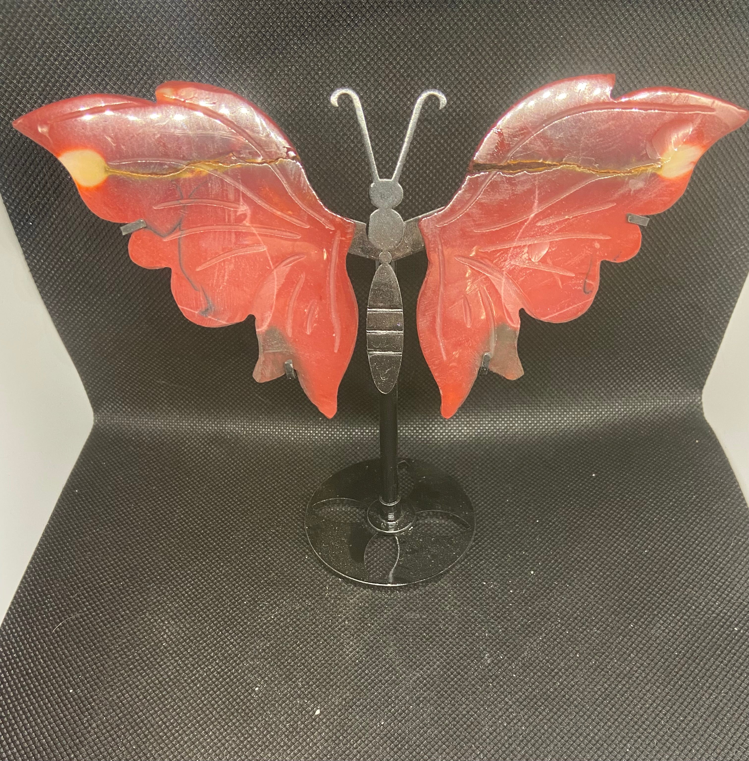 Butterfly Wings