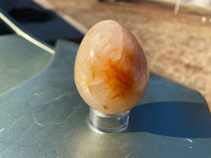 Carnelian Egg
