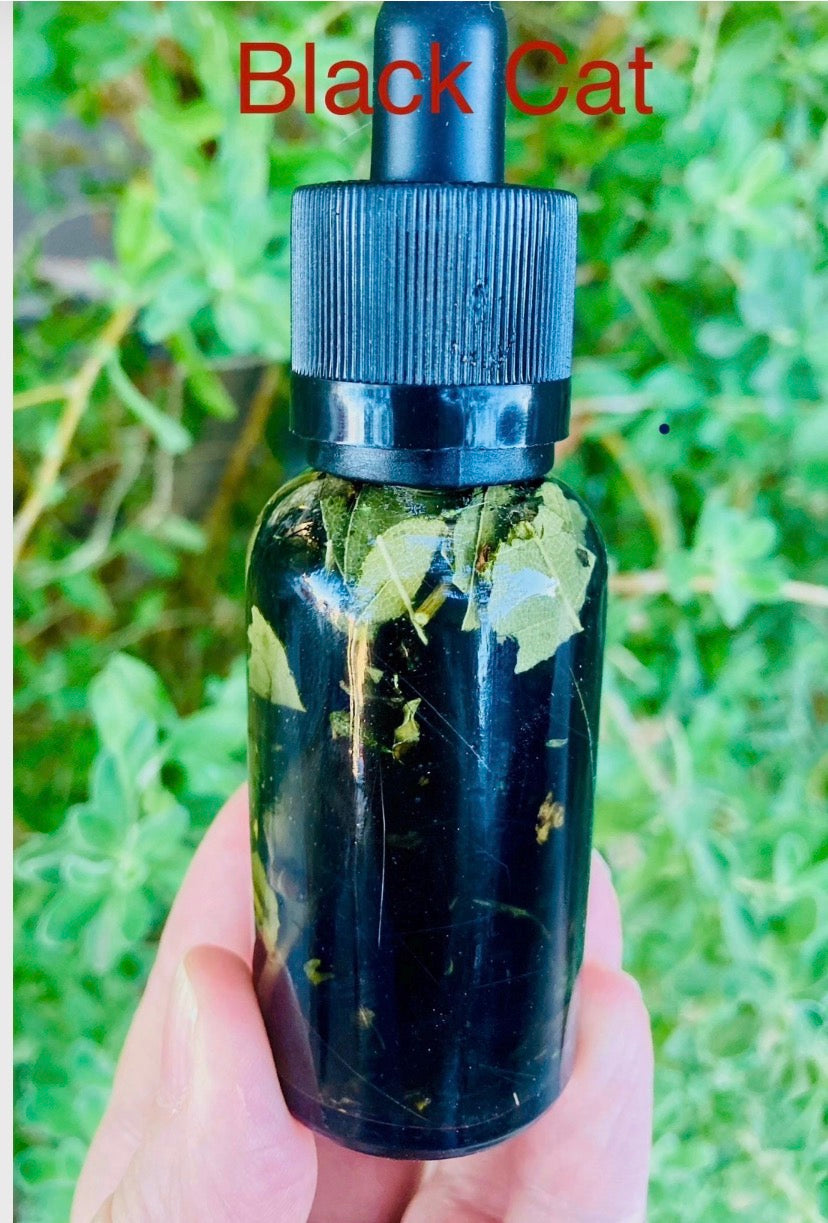 Black cat ritual anointing oil