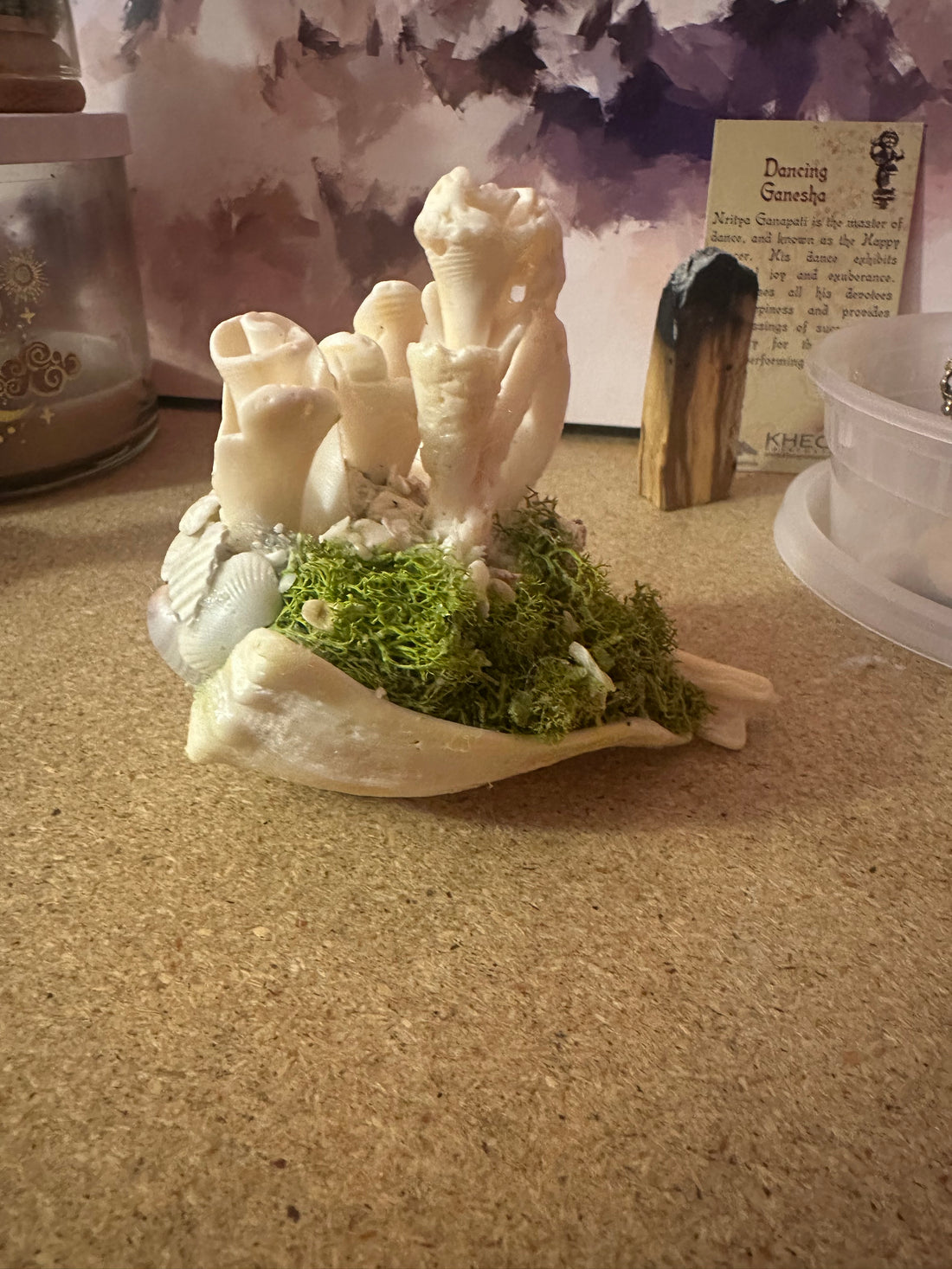 Rose Garden on the Cliff side