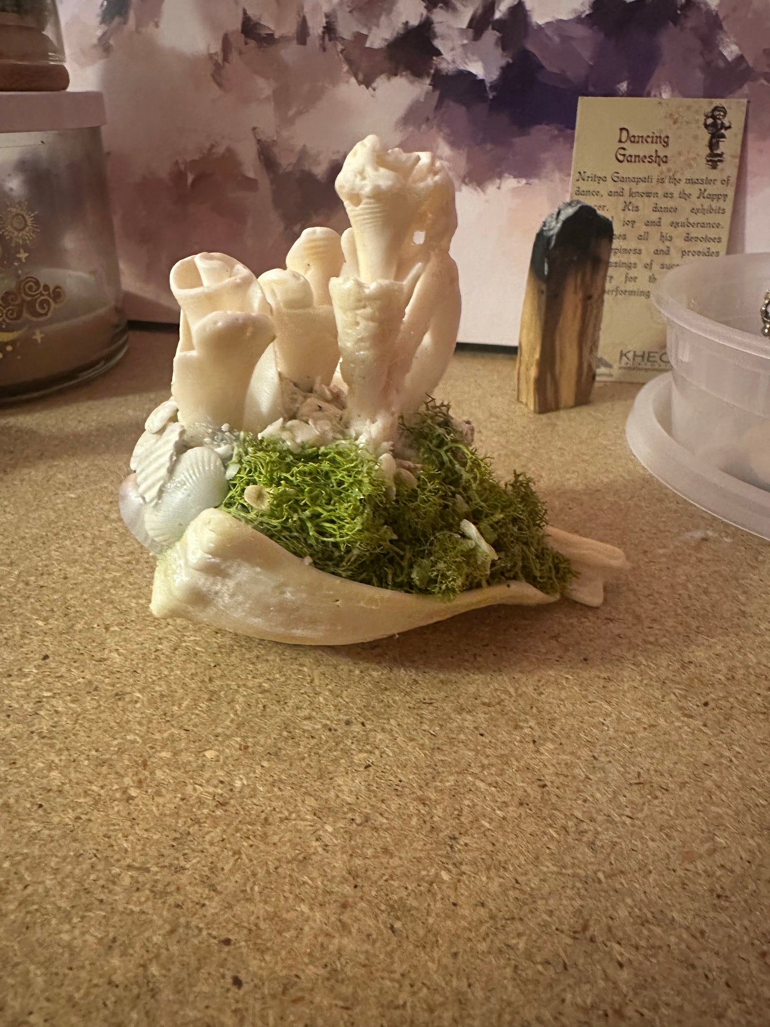 Rose Garden on the Cliff side