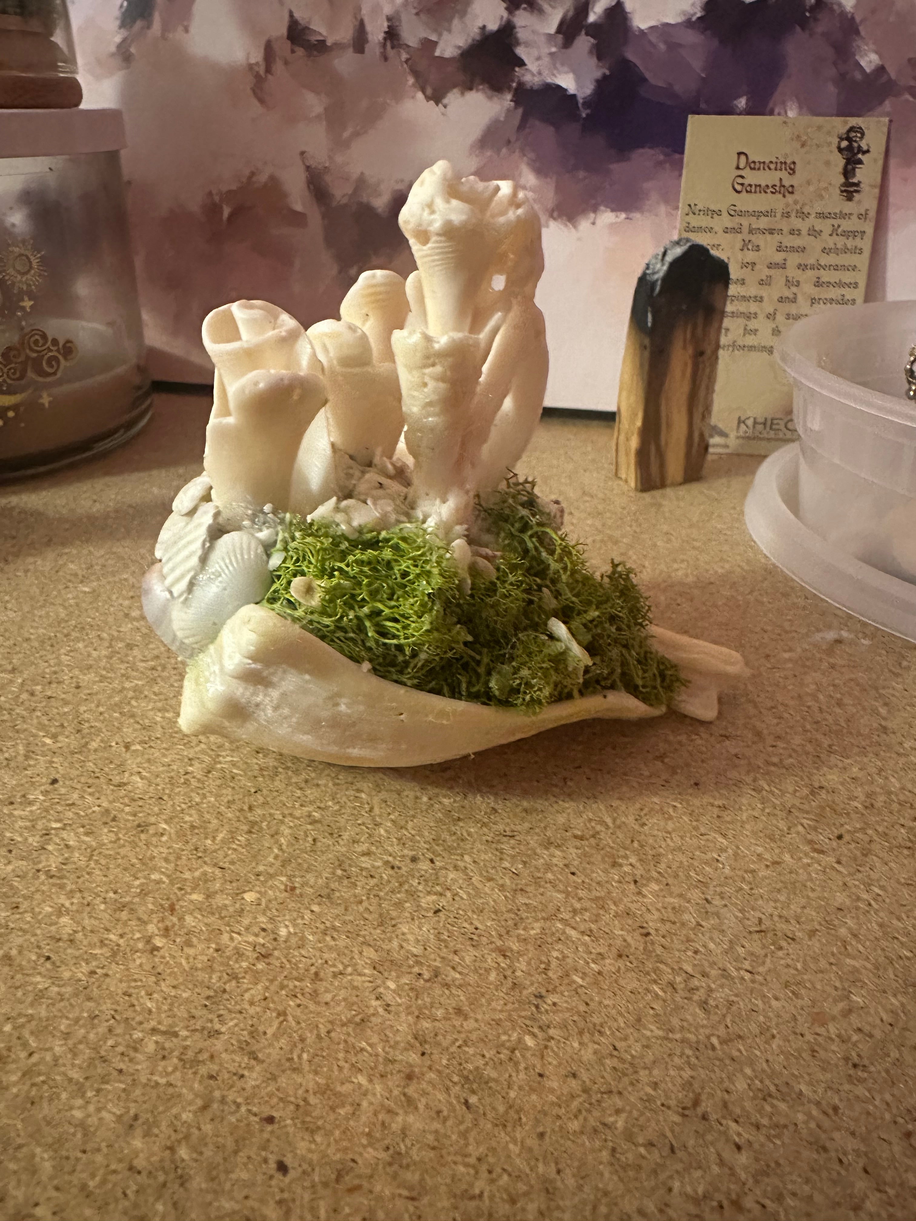 Rose Garden on the Cliff side