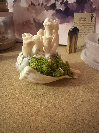 Rose Garden on the Cliff side