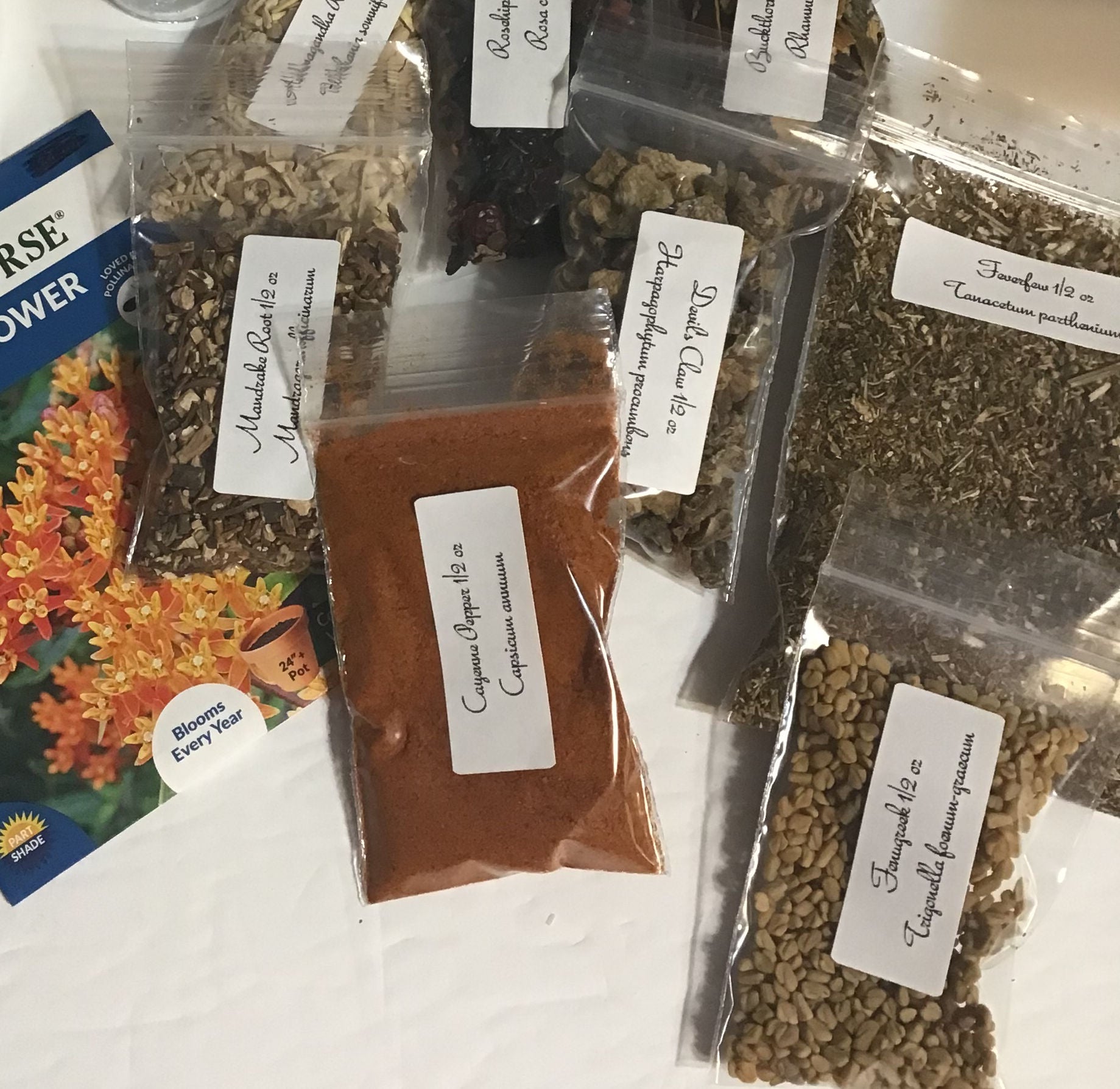 Monthly Green Witch Subscription Packages