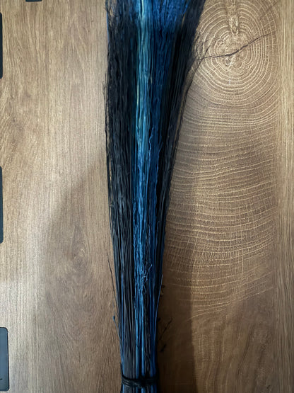 Black and blue Cobwebber
