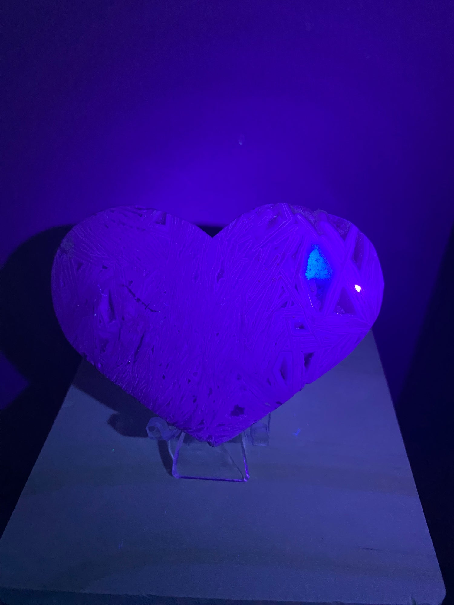 Crazy Lace Heart