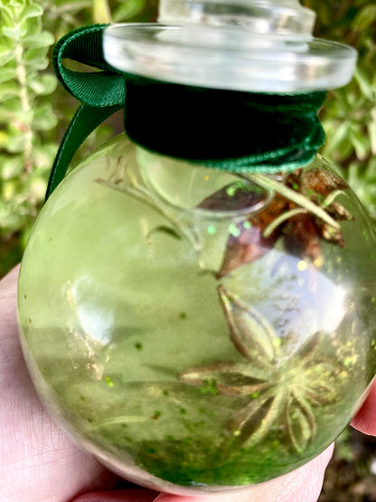 Abundance oil potion spell bottle