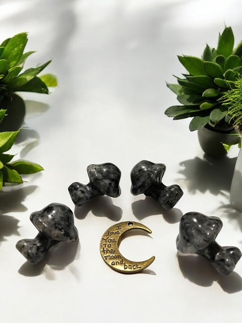 Labradorite Mini Mushroom Goddess Crystal Carving