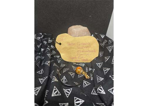 Leo Charm