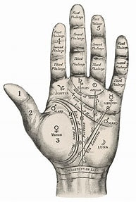 Palm Reading Analysis