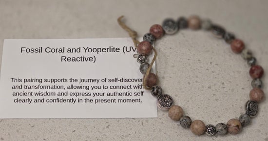 Fossil Coral/ Yooperlite