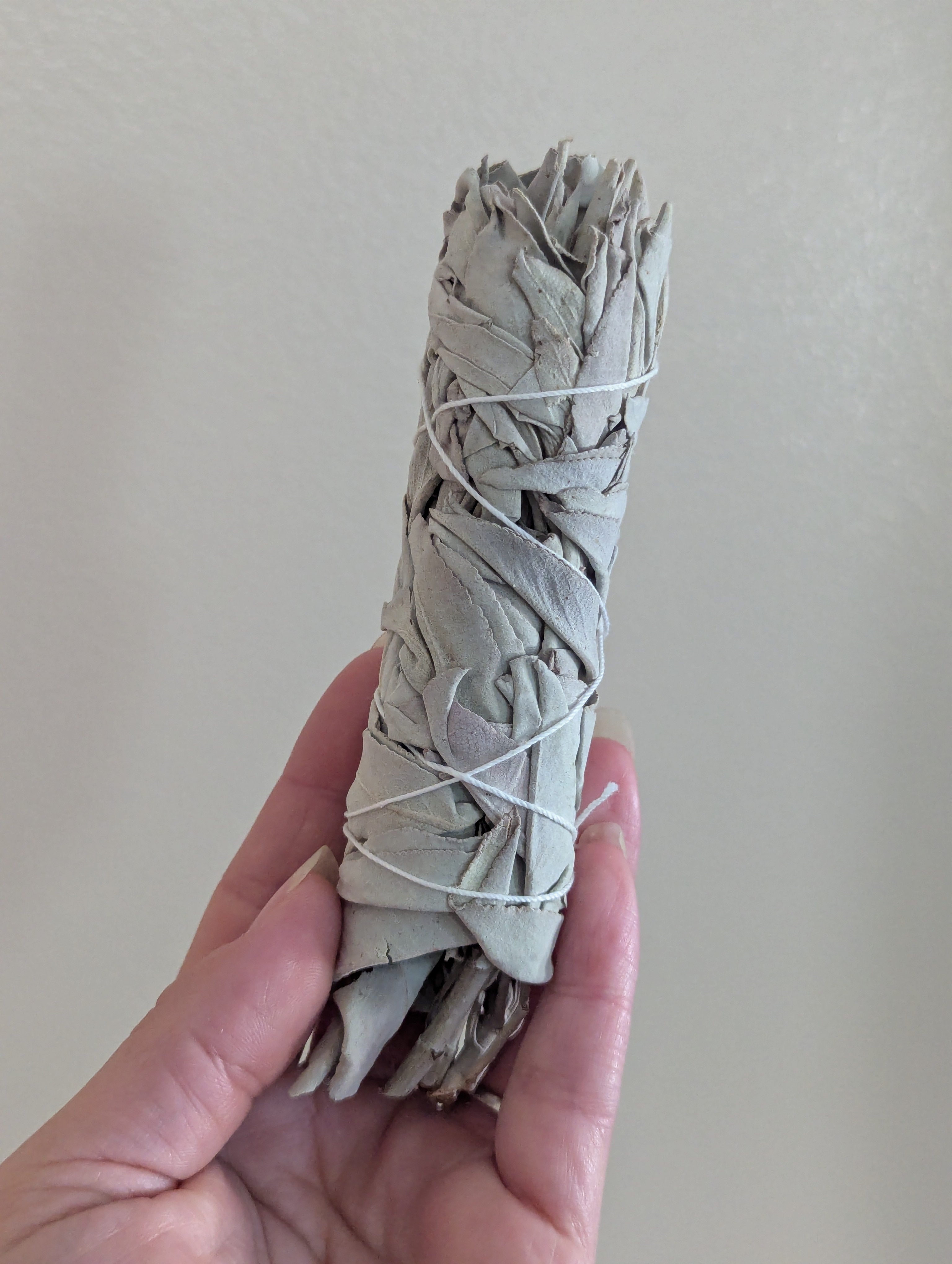 White Sage | Smoke Cleansing |Energy Reset | Altar Tool | Ritual