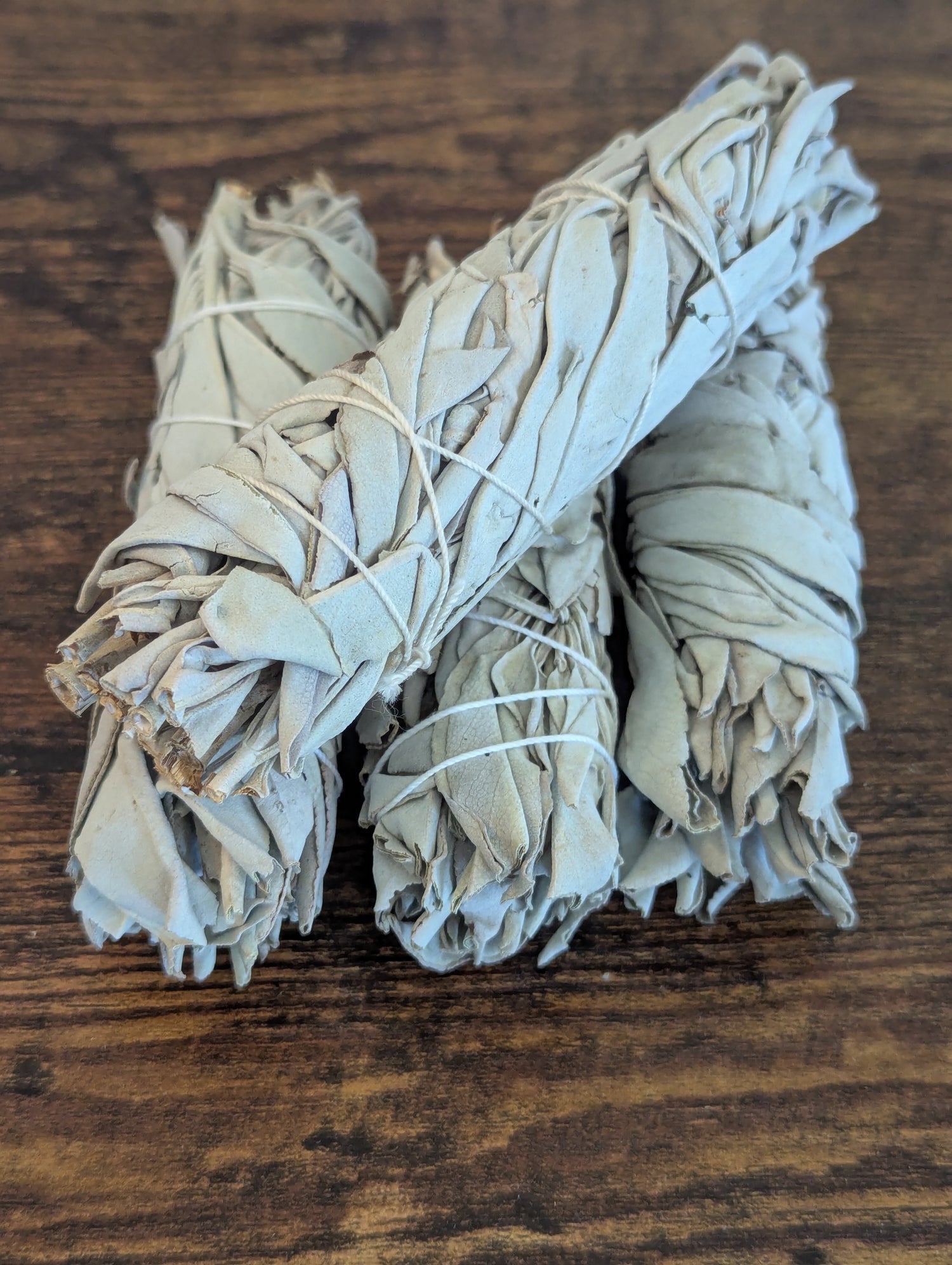 White Sage | Smoke Cleansing |Energy Reset | Altar Tool | Ritual